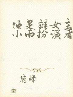 他是谁女主角聂小雨扮演者