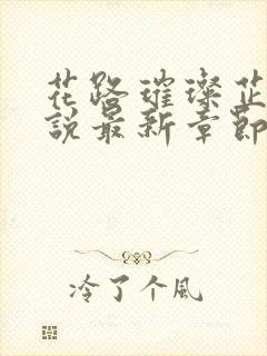 花路璀璨芷晴小说最新章节阅读封面