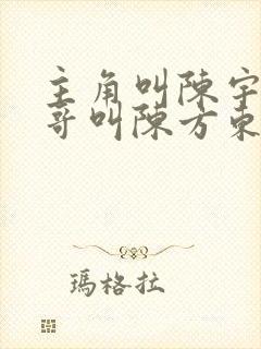 主角叫陈宇,表哥叫陈方东表嫂的小说