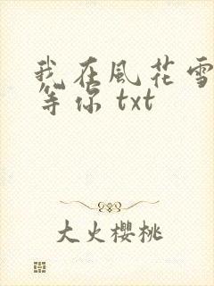我在风花雪月里等你 txt