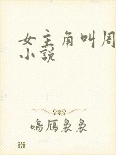 女主角叫周晴的小说