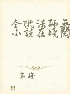 全职法师无删减小说在线阅读