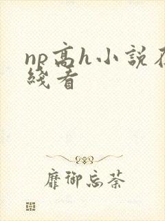 np高h小说在线看