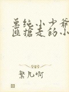 单纯小少爷被土匪抢走的小说