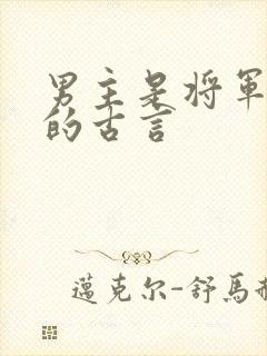 男主是将军很虐的古言封面