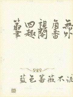 第四视角无防盗笔趣阁番外封面