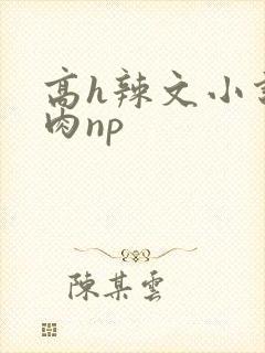 高h辣文小说纯肉np