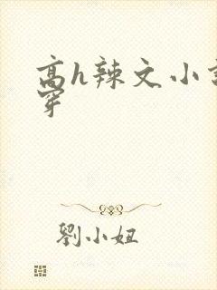 高h辣文小说快穿