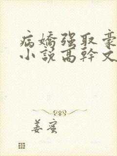 病娇强取豪夺的小说高干文