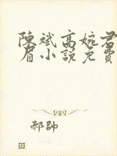 陈斌高婉君赵心眉小说免费阅读封面