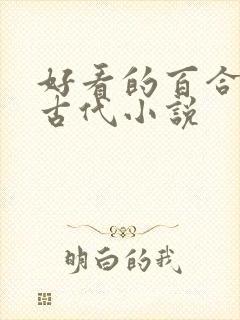 好看的百合小说古代小说