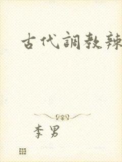 古代调教辣文封面