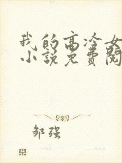 我的高冷女总裁小说免费阅读封面