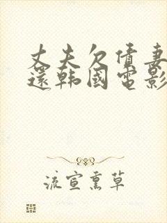 丈夫欠债妻子偿还韩国电影