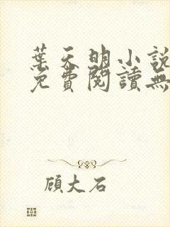 叶天明小说全文免费阅读无弹窗最新章节封面