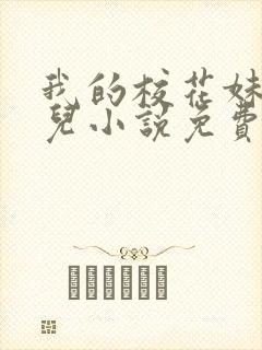 我的校花妹妹雪儿小说免费阅读封面