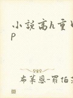 小说高h重口np