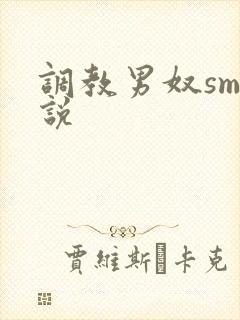 调教男奴sm小说