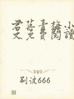 君苒青梅小说全文免费阅读