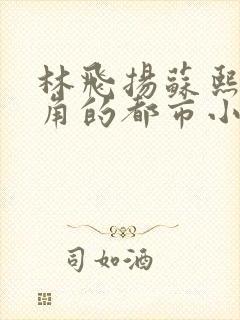 林飞扬苏熙为主角的都市小说