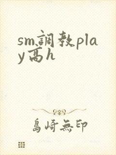 sm调教play高h