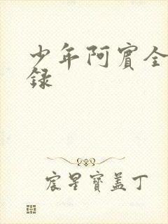 少年阿宾全集目录