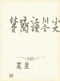 林晚江川小说免费阅读全文最新章节