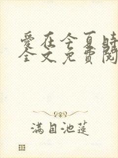 爱在今夏时小说全文免费阅读