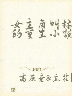 女主角叫林清婉的重生小说