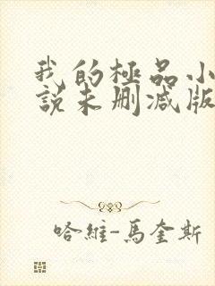 我的极品小姨小说未删减版