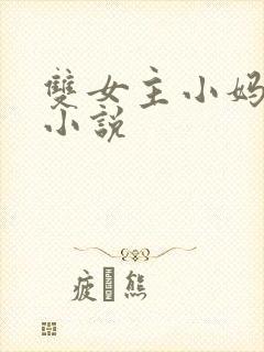 双女主小妈文学小说封面