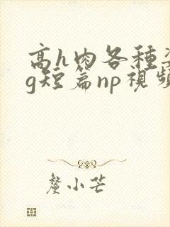 高h肉各种姿势g短篇np视频