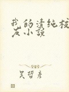 我的清纯校花女友小说封面