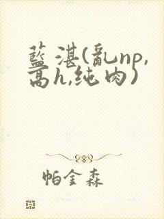 蓝湛(乱np,高h,纯肉)