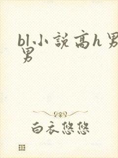 bl小说高h男男