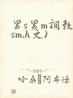 男s男m调教(sm,h文)封面