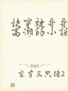 快穿被哥哥捅到高潮的小说封面