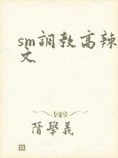 sm调教高辣h文