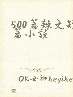 500篇辣文短篇小说