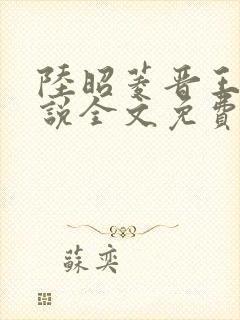 陆昭菱晋王的小说全文免费阅读纵横