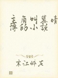 主角叫慕晴夜君博的小说封面