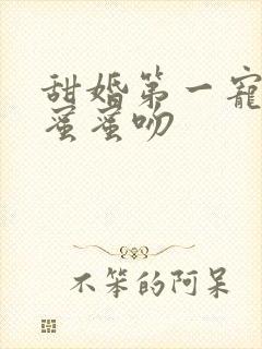 甜婚第一宠总裁蜜蜜吻