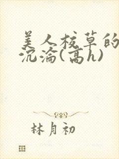 美人校草的堕落沉沦(高h)