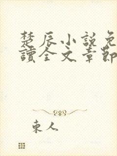 楚辰小说免费阅读全文章节