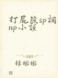 打屁股sp调教np小说封面