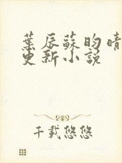 叶辰苏昀晴最新更新小说