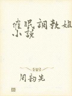 催眠调教姐姐的小说封面