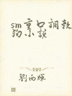 sm重口调教母狗小说