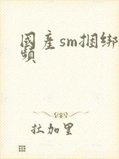 国产sm捆绑视频