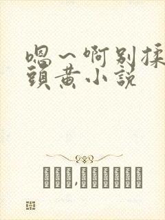 嗯～啊别揉我奶头黄小说